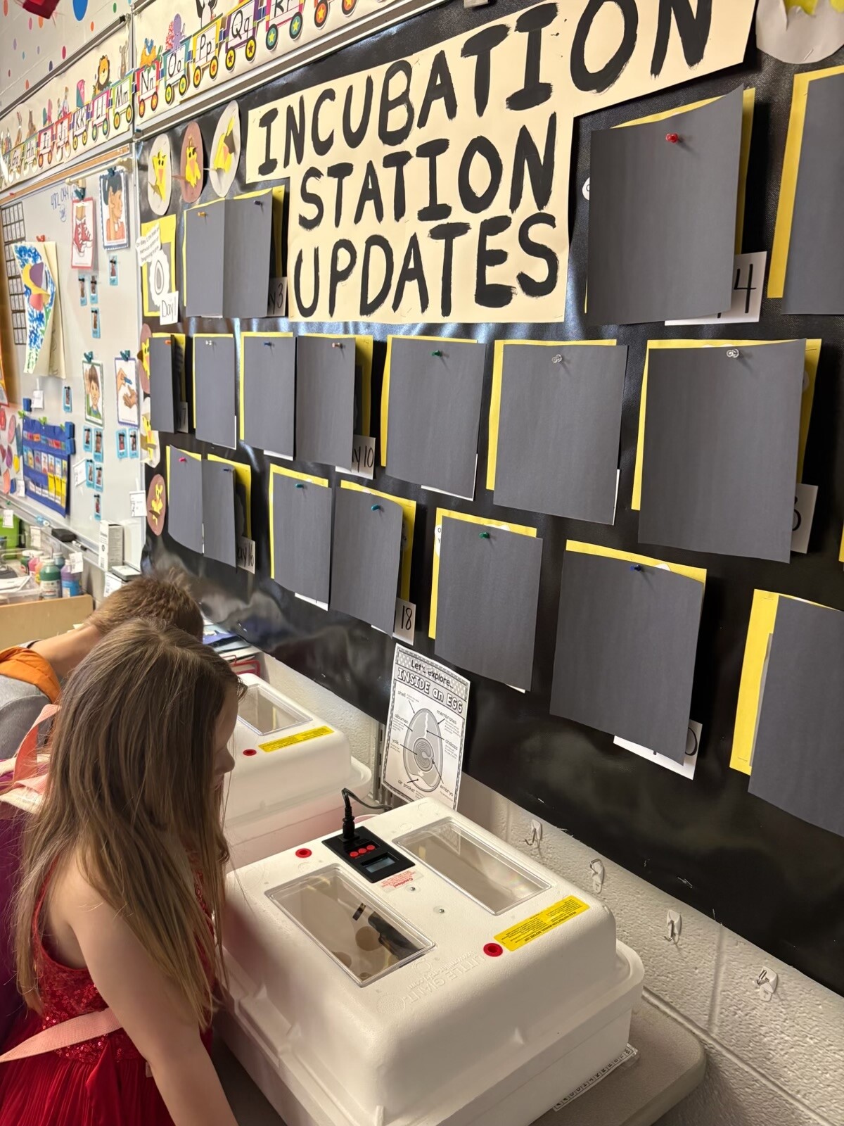 East Forest Students Hatch Eggs