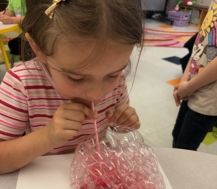 East Forest PreK and Kindergarten Counting Down the Days~