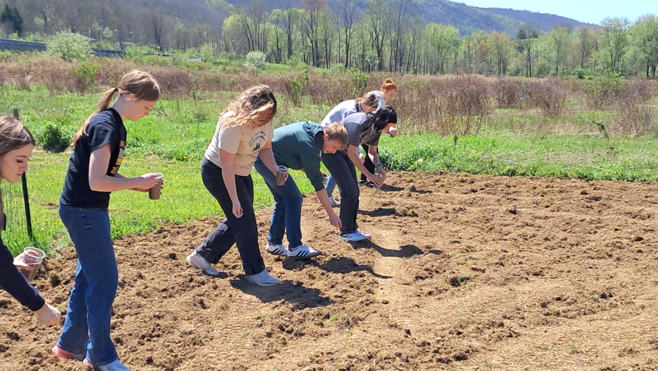 West Forest Advanced Biology Class Plants Pollinator Garden