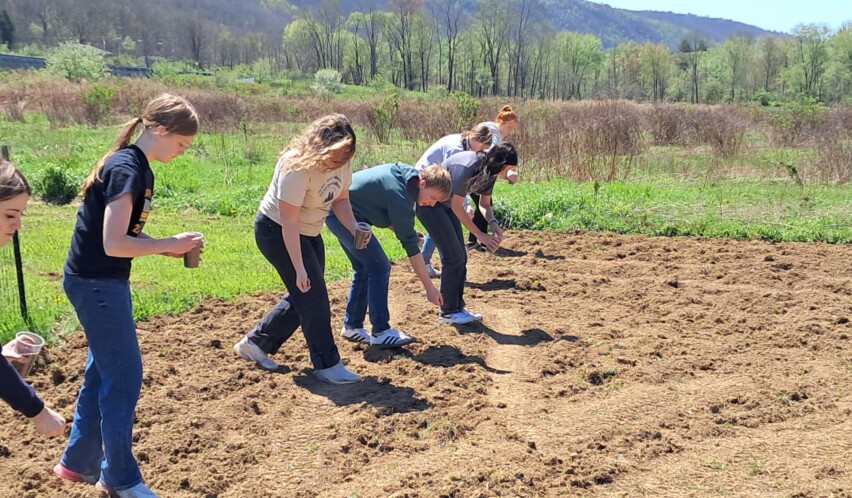West Forest Advanced Biology Class Plants Pollinator Garden