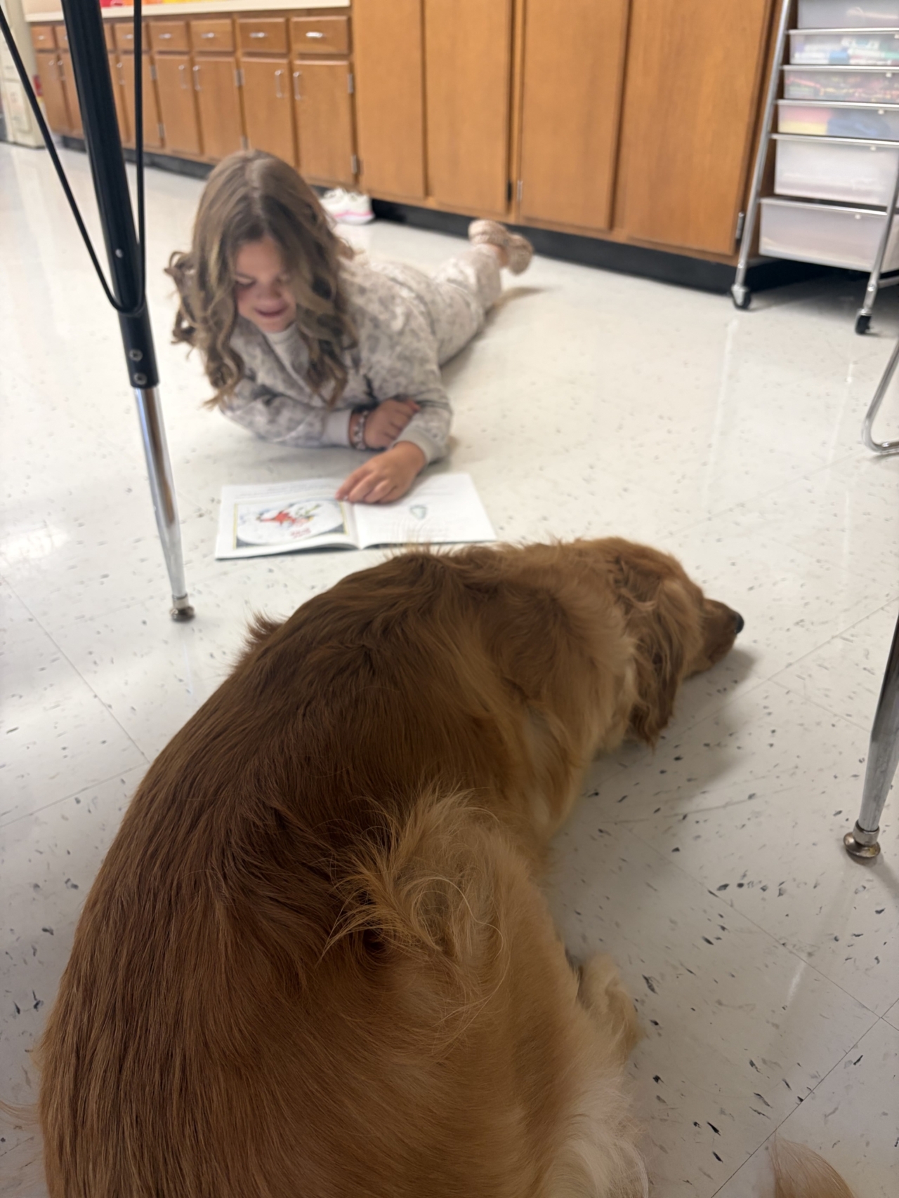 Reading with Therapy Dogs at Forest Area~