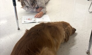 Reading with Therapy Dogs at Forest Area~