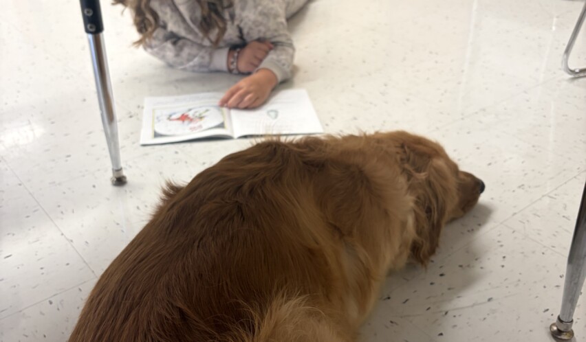 Reading with Therapy Dogs at Forest Area~